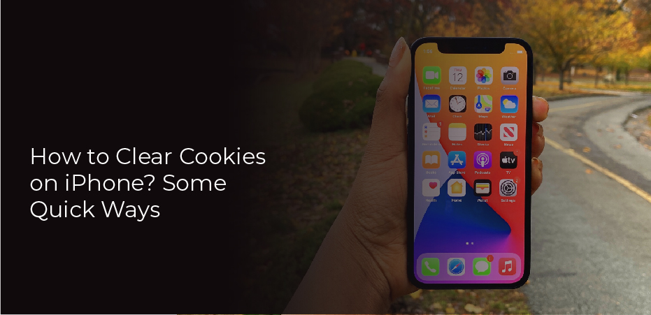 How to Clear Cookies on iPhone