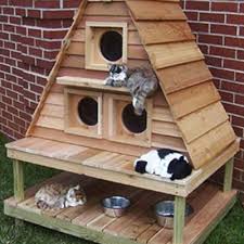 Cozy Cabins for Cats